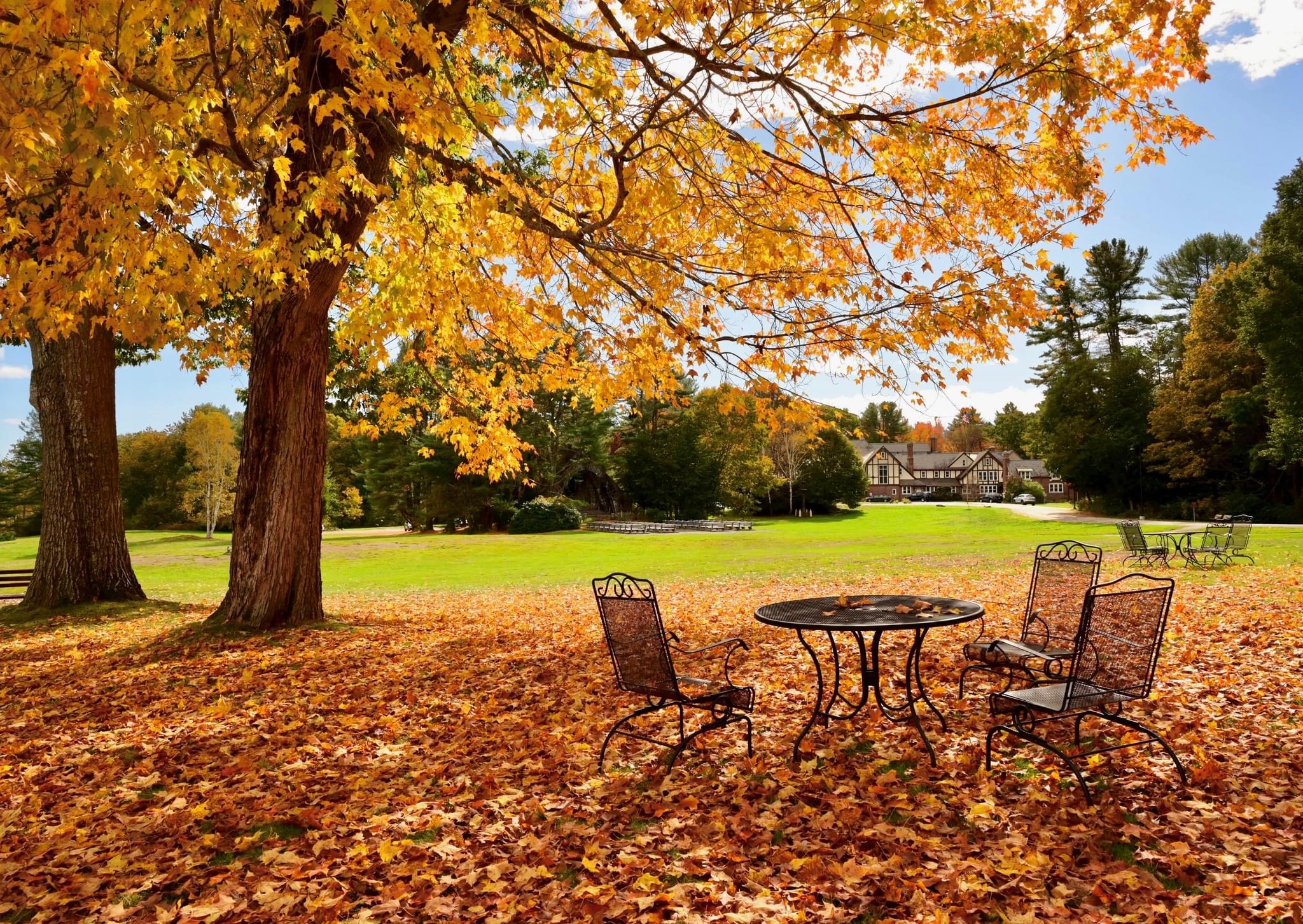 Chairs and table on leaf-covered lawn with a monastery in the backrgound