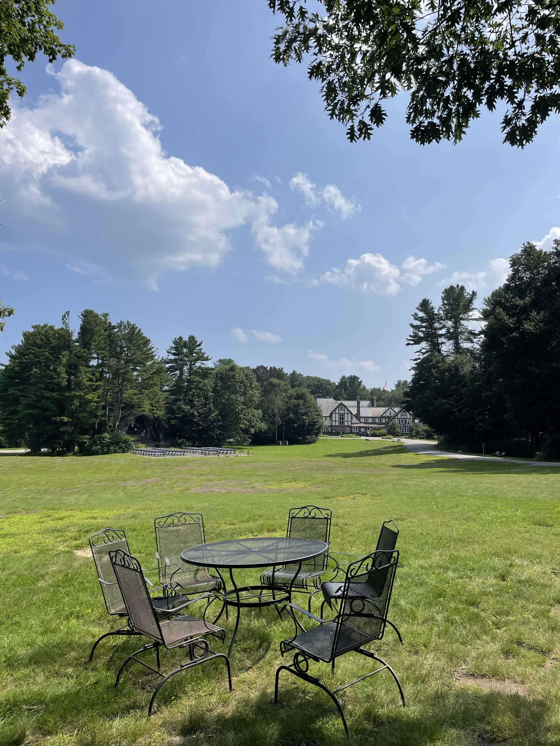 A table and chairs set up in a grassy field, with a tree and cloudy sky in the background.