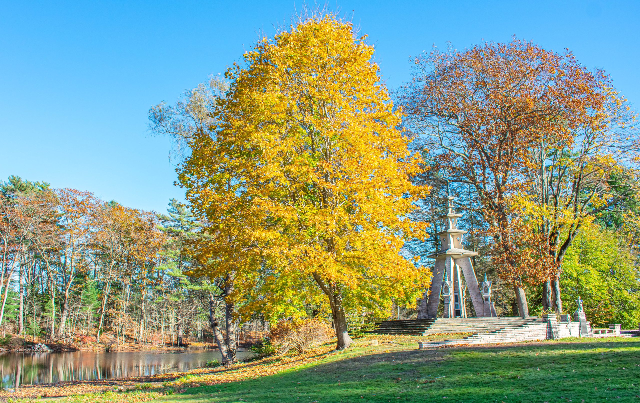 A brilliant bright yellow leaved tree by a stoic monument on a green lawn.