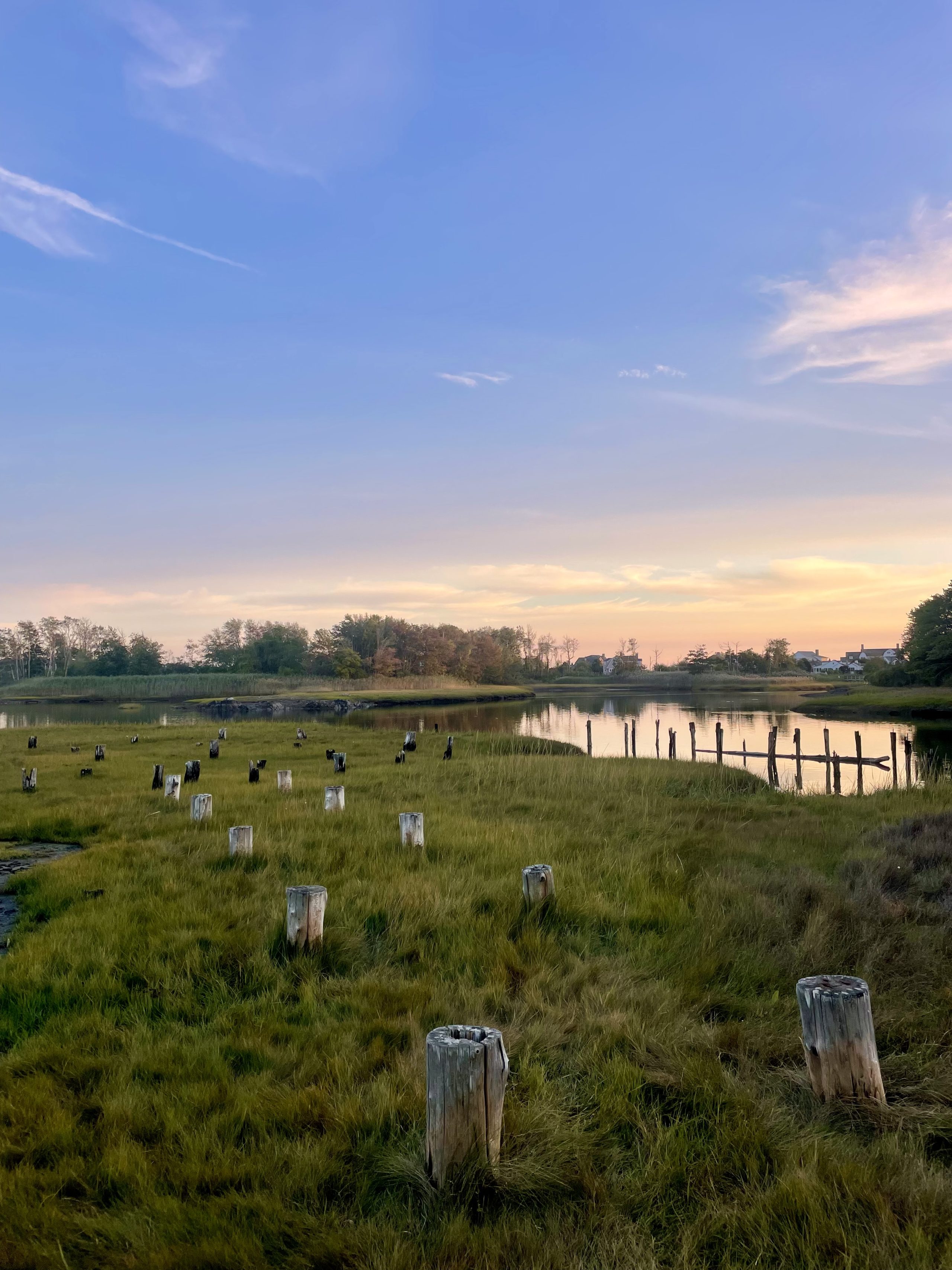 A sunset over a marsh with wooden remnants of an old boathouse.