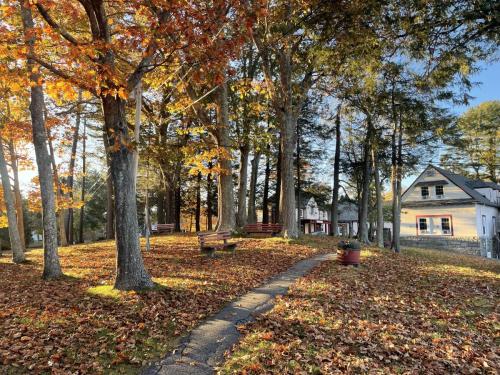 A small paved path amongst trees and fallen leaves leading to hotel buildings in the background. 