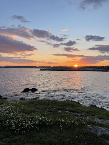 Sunset over the ocean, with a row of houses lining the horizon.