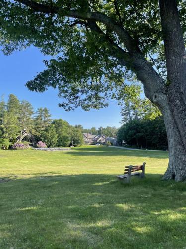 Green lawn featuring a wooden bench under a large tree, with a monastery, trees, and grotto in the background. 