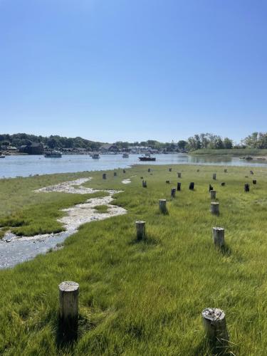 Green marsh landscape with remnants of old boathouse, with river and several boats in the background.