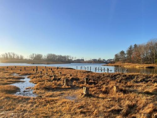 Autumn marsh landscape featuring wooden stumps leftover from an old boathouse and leafless trees, river, and blue sky in the background.